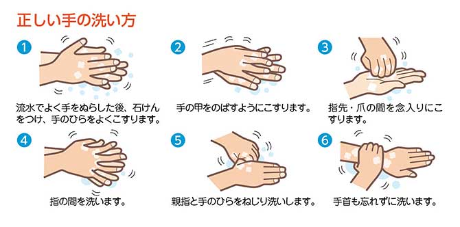 正しい手の洗い方 1　流水でよく手をぬらした後、石けんをつけ、手のひらをよくこすります。2　手の甲をのばすようにこすります。3　指先・爪の間を念入りにこすります。4　指の間を洗います。5　親指と手のひらをねじり洗いします。6　手首も忘れずに洗います。
