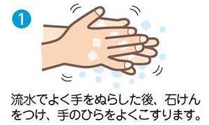 1　流水でよく手をぬらした後、石けんをつけ、手のひらをよくこすります。