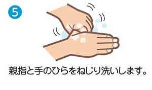 5　親指と手のひらをねじり洗いします。