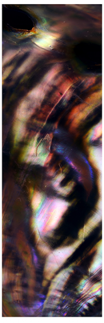 《Stratums》2015（部分）