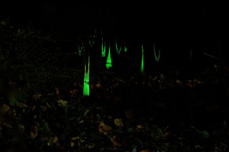 《Night Garden》ガラス、蛍光塗料/2013