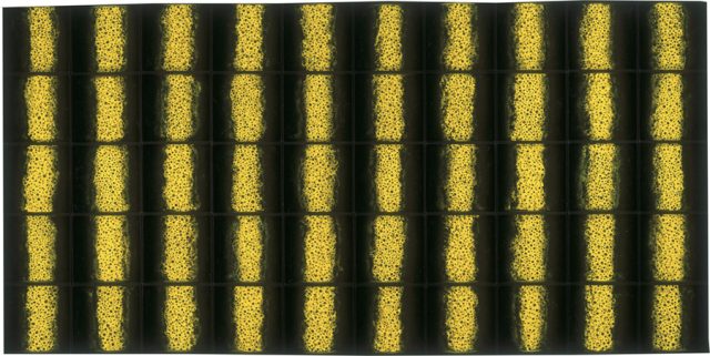 《REPETITIVE VISION 生命賛歌》1999 年ミクストメディア ©YAYOI KUSAMA