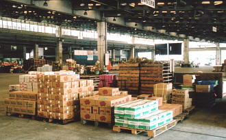 毎日新鮮な青果が集荷される=中央卸売市場場内