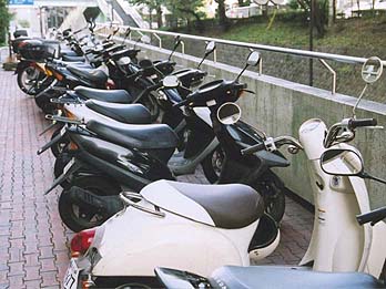高い利用率であった軽自動車税のクレジットカード納付