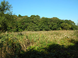 希少な動植物の生息地=川名清水谷戸
