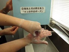 手の洗い方3番目の画像