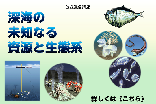 深海の未知なる資源と生態系