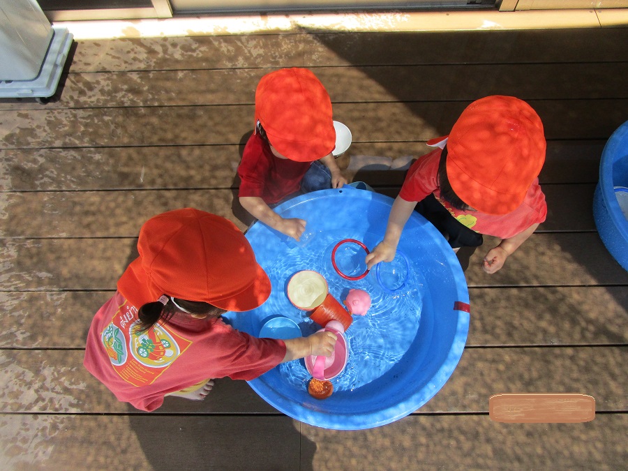 1歳-1
