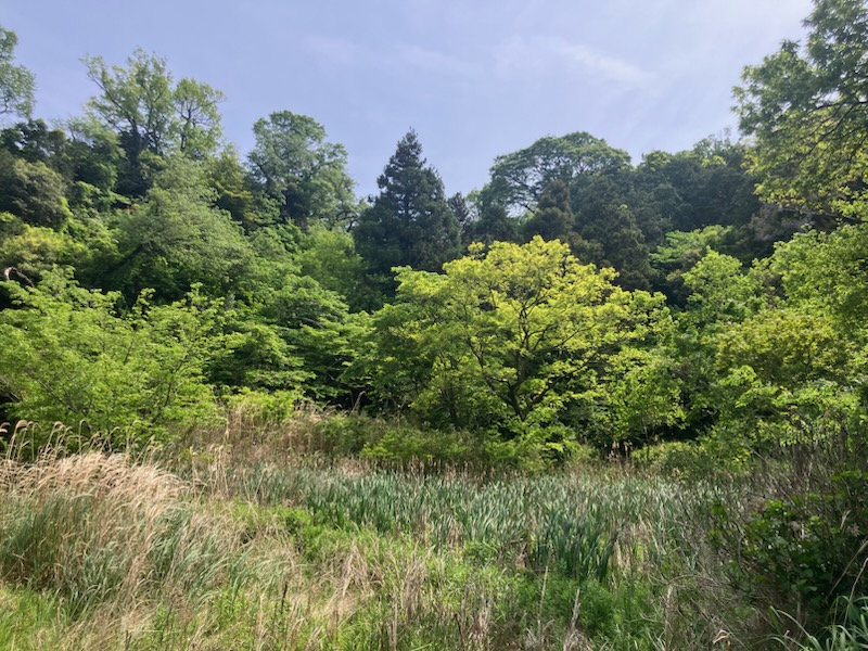 川名１