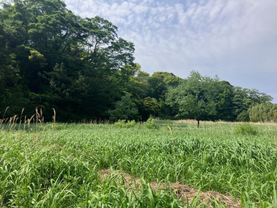 川名３