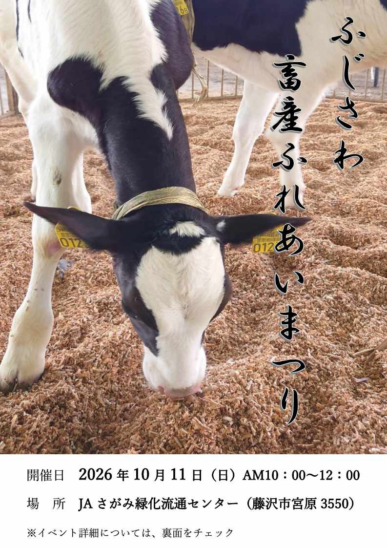 チラシ