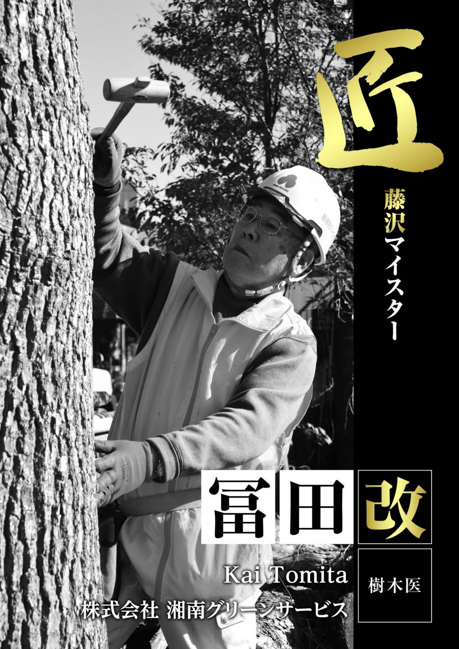 tomita