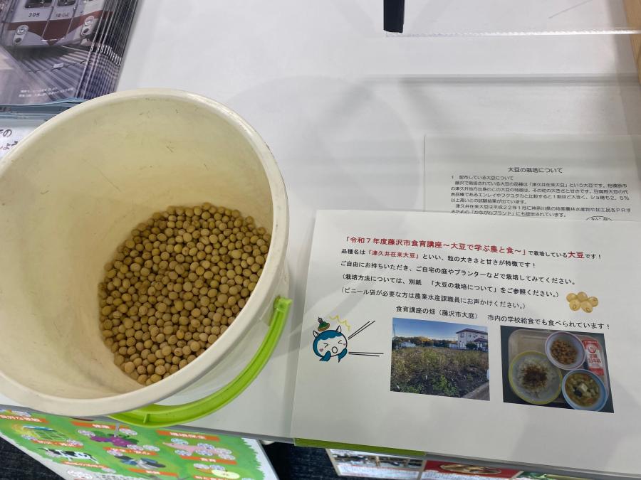大豆配布