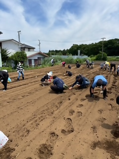 播種
