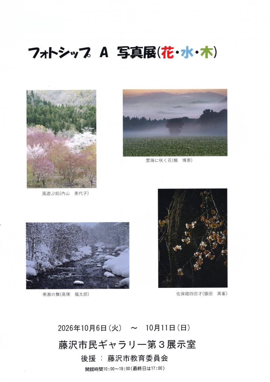 2026フォトシップA