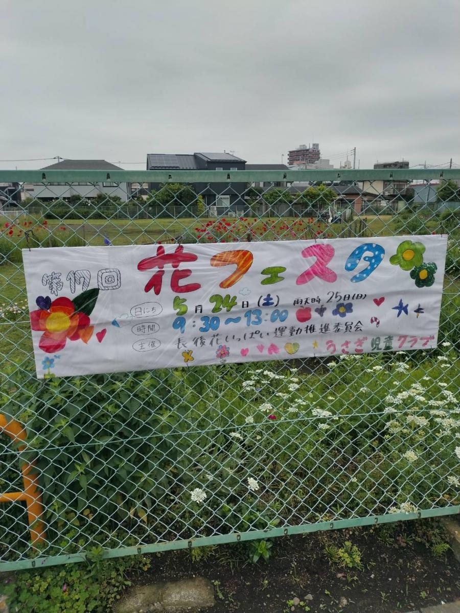 hana03