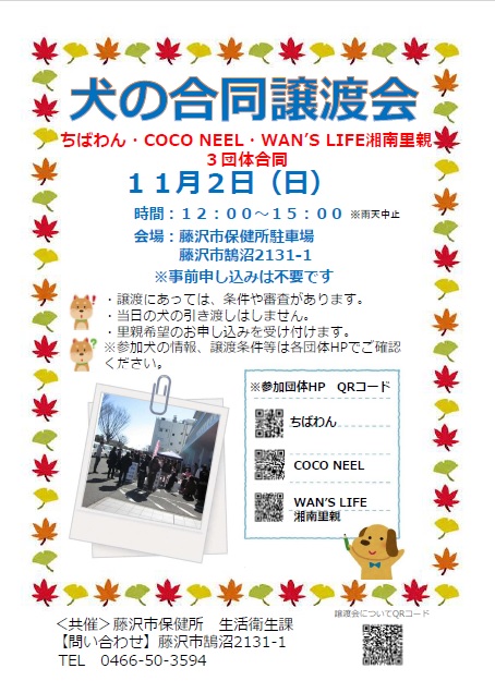 犬の合同譲渡会