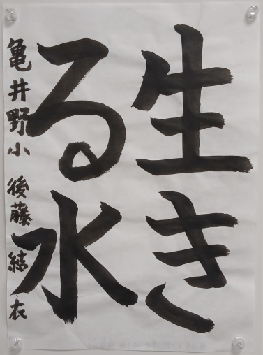 shodou4