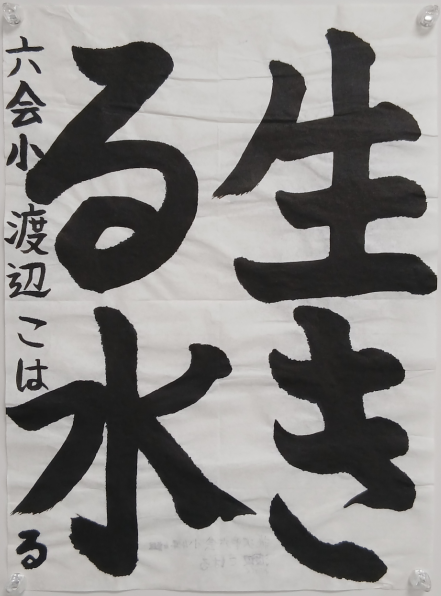 shodou5