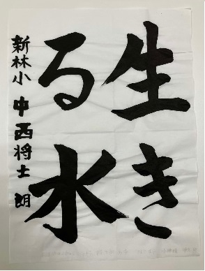 新林小中西