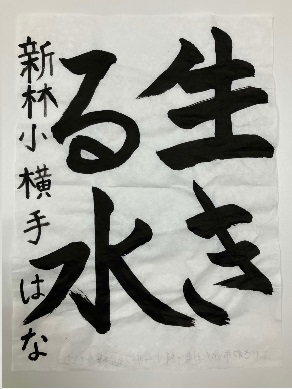 新林小横手