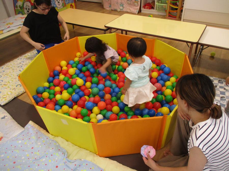 takarasagasi2