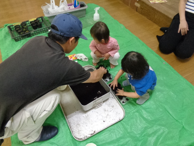 つちいれ