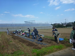 秋葉台2019-5