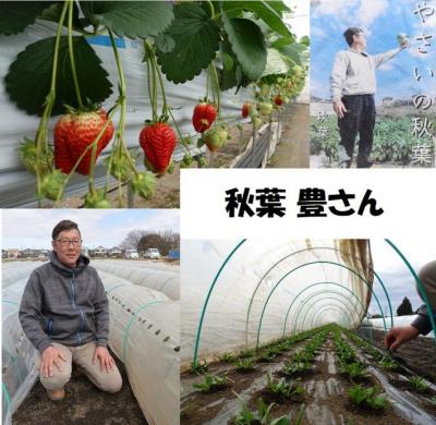 秋葉さん