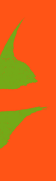 0055a