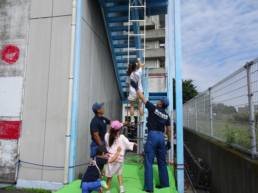はしごひな