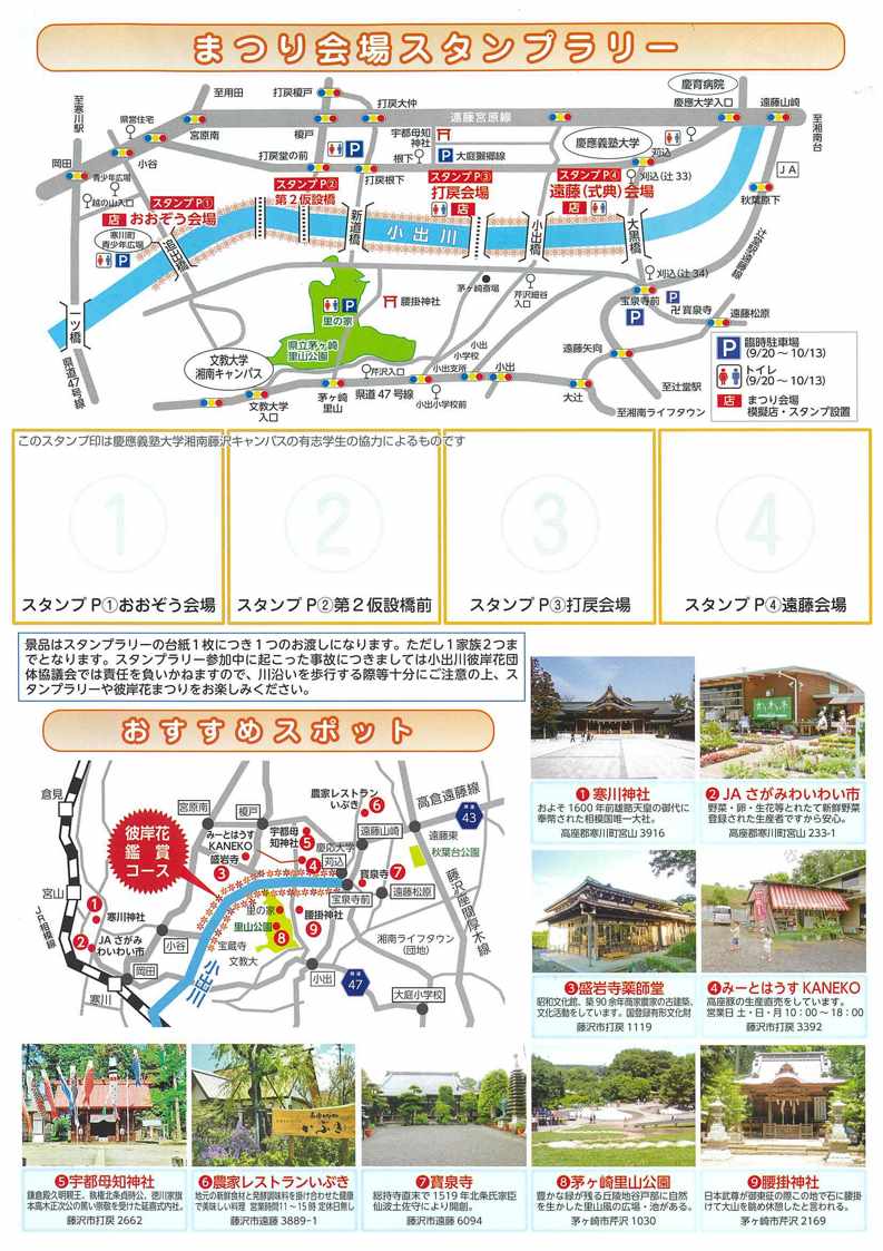 彼岸花裏