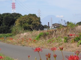 fuji