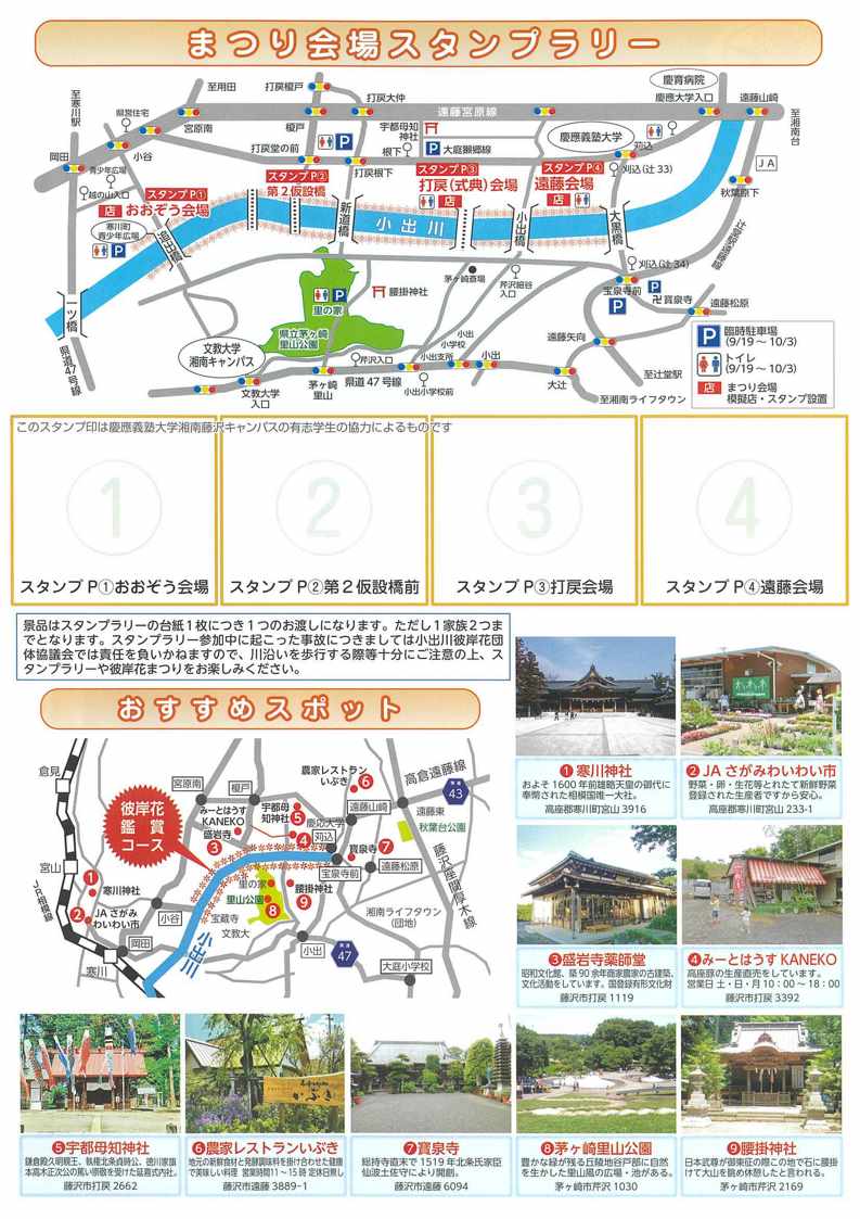 彼岸花裏