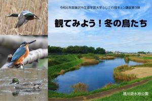 観てみよう！冬の鳥たち、画像