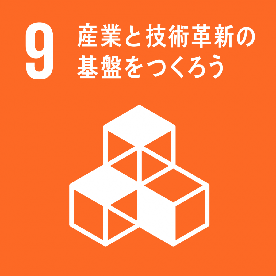 sdg_9