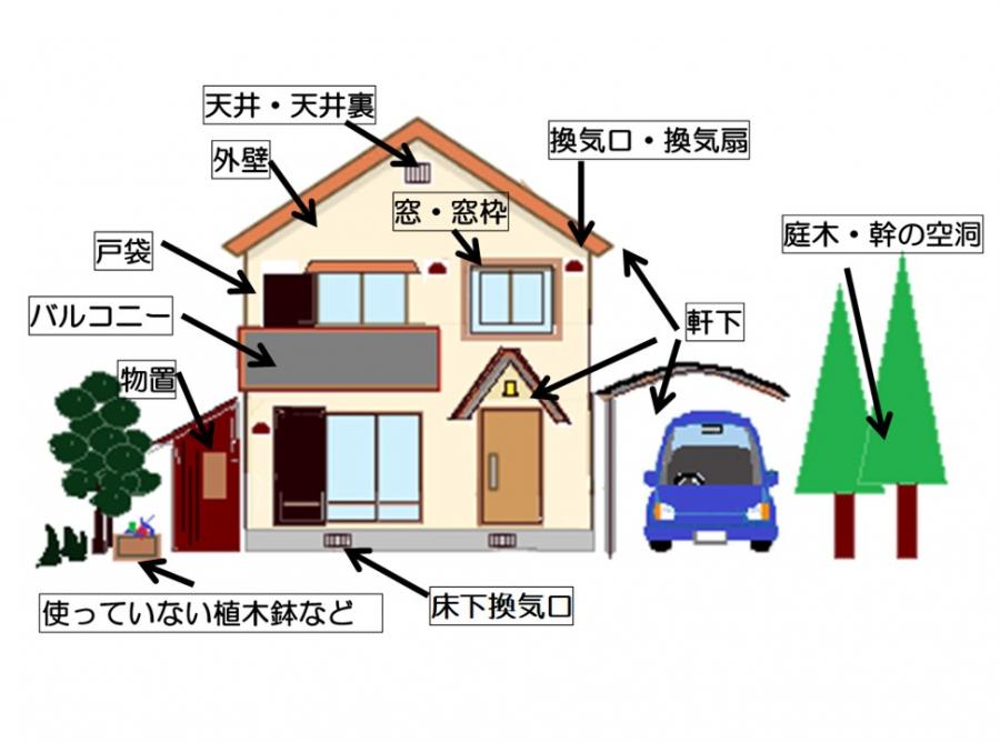 巣ができやすい場所