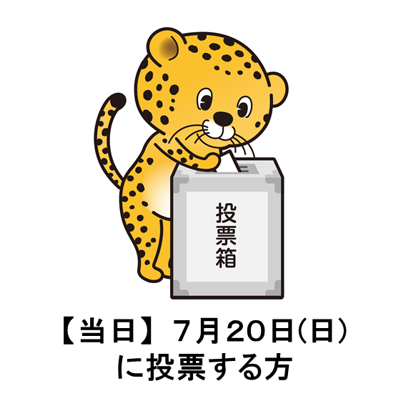 (R7参)当日投票ひょう太