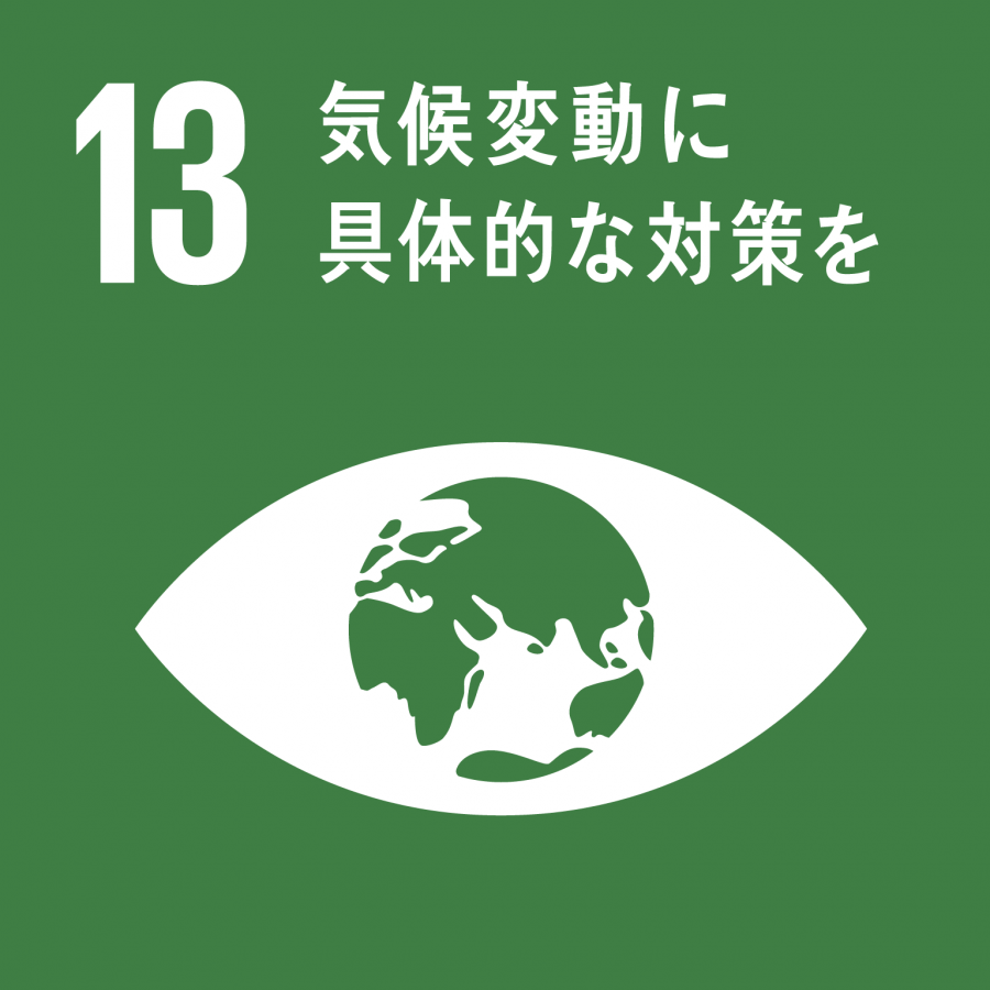 SDG_13