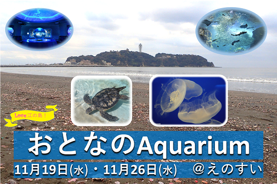 Love江の島！おとなのAquarium@えのすいの画像