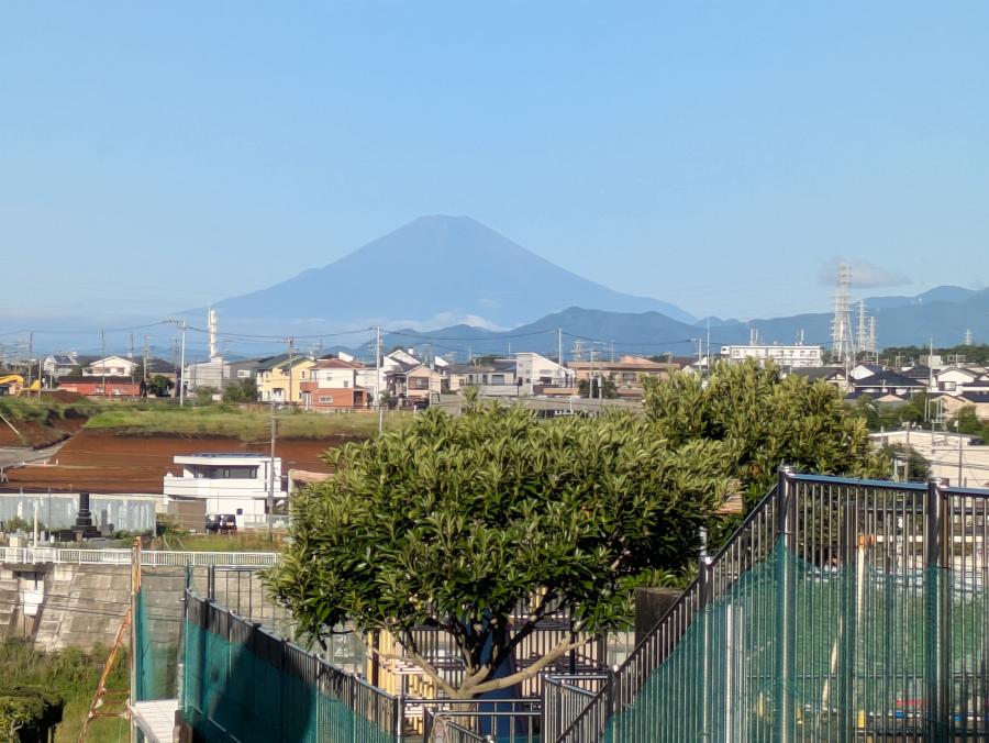 ５