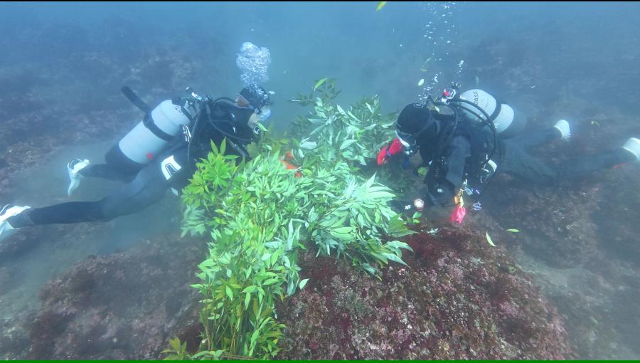 海底設置の様子