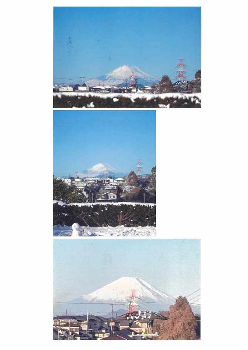 ふるうつらんど井上さん_1