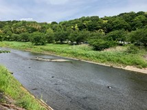 引地川特別緑地保全地区