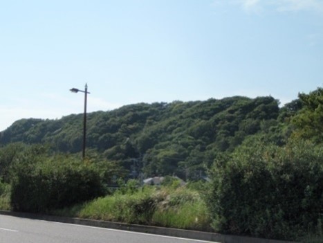 城南特別緑地保全地区