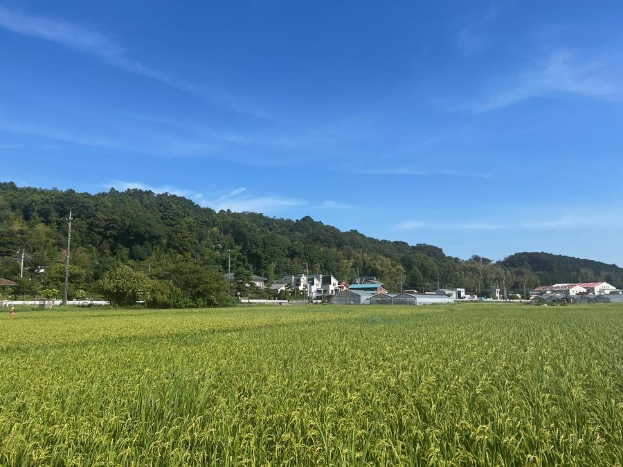 境川特別緑地保全地区