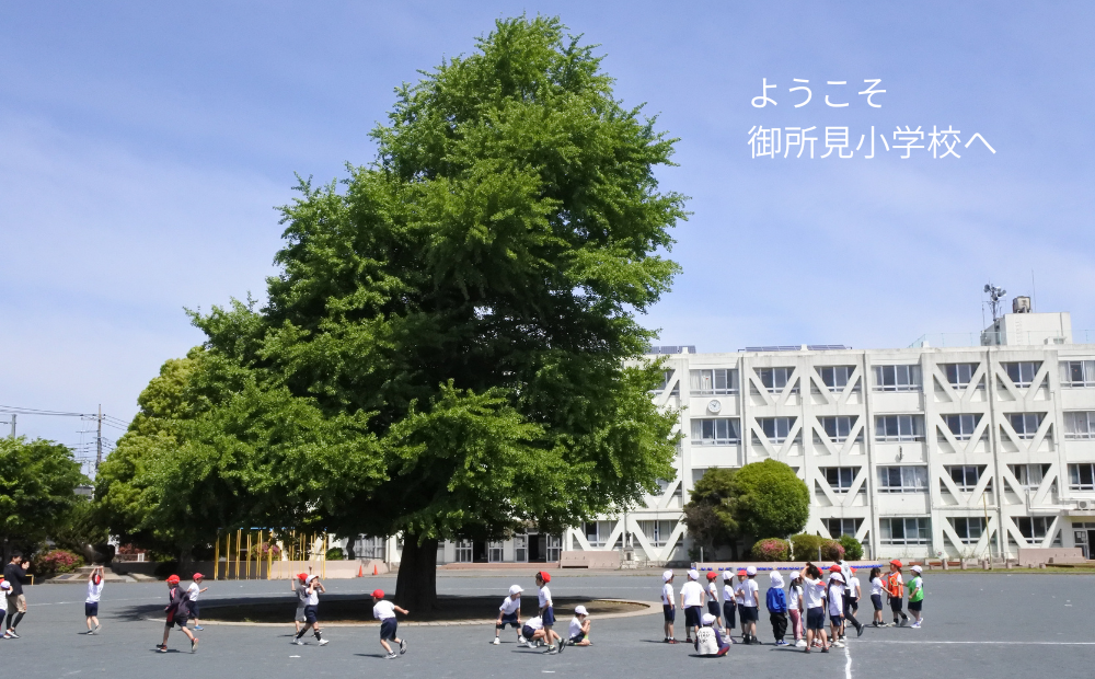 Topkore