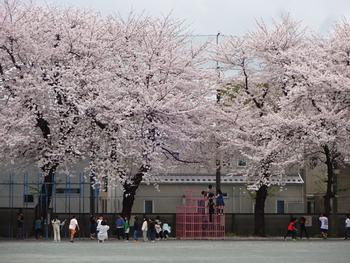 21_大越小学校 ポスト_画像2_大越小