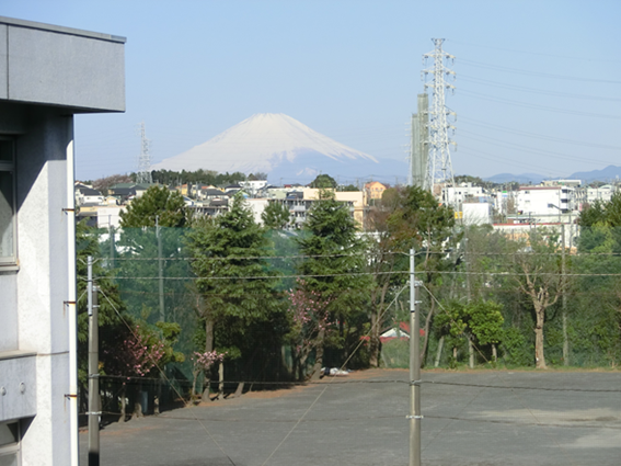 大庭中