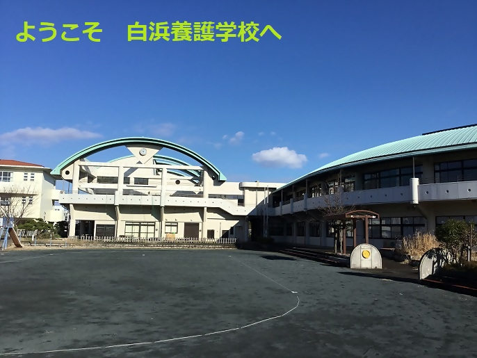 白浜写真
